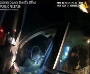 Body camera video shows man run over seconds after deputy tased him (Happened February, video released on 26 July) from camera video
