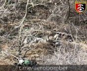 Ukrainian drone drops grenade on sleeping Russian soldier. Direct hit. He is wounded, survives and is evacuated. HD. from hit he