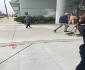 Tampa man woke up this morning and chose chaos from akka tampa videos
