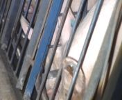 Smithfield Foods&#39; Vice President of Corporate Affairs denying there is anything wrong with treating pigs like this from smithfield