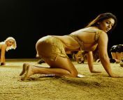 Nayanthara from tamil actress nayanthara naked image
