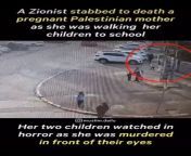 A pregnant Palestinian mother was stabbed to death in broad daylight while walking her children to school from girl stabbed to death