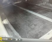 Man repeatedly beating skunk in parking lot. Caught on CCTV from couple caught fucking on cctv