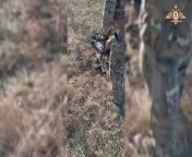 RU POV &#124; Soldiers of the 20th division (20th Guards Motorized Rifle Division) of the Russian Armed Forces defeated Ukrainian assault group and captured prisoners, repelling the enemy attack - Maryinsky direction from desi outdoor group sex captured voyeur mp4