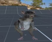 Rat video from samantara xxx shy rat video