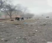 Latest leak, very, very distressing video. Lots of shell shocked civilians, police, members of 🇺🇦 military and of course dead bodies. This is very distressing. Viewer discretion is advised to be up to date with Putins latest War Crimes. Education about th from ဂျပန်အောကား videod xxx latest sexy video movie