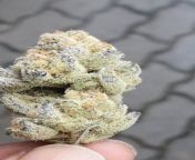 frost bite??my afternoon toke all the way from SA ?? not for sale from parbona ami charte toke all sexy video