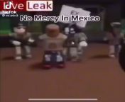 Real leaked footage of cartel wars in mexico from indian girls real leaked fuckin