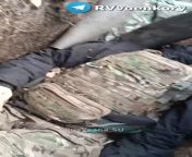 RU POV: Ukrainian marines found to be wearing Novorossiya Uniforms in position overrun by Russian Armed Forces. Date and location unknown. from x 92 ru ls nude