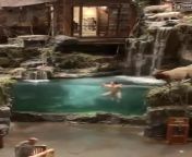 Alabama Man smashes car, strips naked, runs into Pro Bass shop and cannonballs into Aquarium. from gianna strips naked outdoors