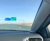 Saudi Arabia: Camel Hit by Tesla on Highway from saudi arabia girl fuck by indian drive