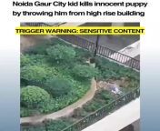 Noida kid kills innocent puppy by throwing him from building from minakshi noida
