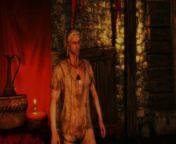 The Witcher 2- succubus sex scene (extended) from the blackmail worthy affair sex scene