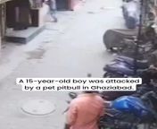 Young boy saved by stray dog in Ghaziabad Pitbull attack from tamil aunty and young boy enjoyed by bedroom