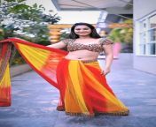 Radha Sagar looking sexy in saree from satname sagar sharnjit shmmi
