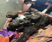 West Bengal has seen 26 political murders in one week. Visuals are from Birbhum massacre in which 12 women and kids were burnt alive. WB is now the rink of jihadi terror and Communist-era criminals.[Warning: Disturbing visuals] from bengal honey