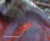 ua pov. Wounded Russian soldier records a video after an encounter with Ukrainian FPV drone. He shows his torn pants with blood and tissue on the inside. from ls ua 116