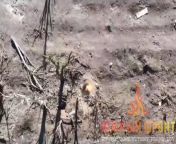 RU POV: Accurate drone drops into hideouts and on Ukrainian infantry, southern direction from porus ru