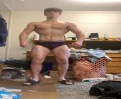 Currently bulking been working out since January 59 170lbs any tips on what I should work on this bulk? from what song should use for this mp4