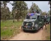 A convoy of CJNG members yelling their loyalty to the leader of CJNG El Mencho, video is from 2021 from https viralvideotube com video chawl house 2021 charmsukh ullu