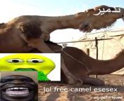 infadel is lebron james camel child ray wiliam josnon bruh moment 240p NO WIRUS free fortnite download please from free xxx download com