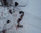Ua pov Another RU dead body &#34;Z&#34; formation from girl dead body postmortem video mms