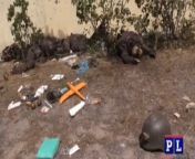 ru pov. Severodonetsk area is littered with bodies. from ru vichatter mpandhost babko