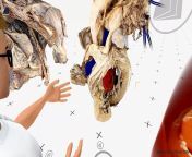 Human Anatomy in Virtual Reality: The Heart from human anatomy dissection 13